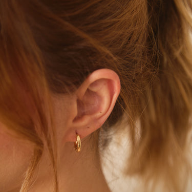 Candonga Jazmin Pequeña Básica