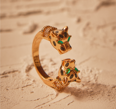 Anillo Malek